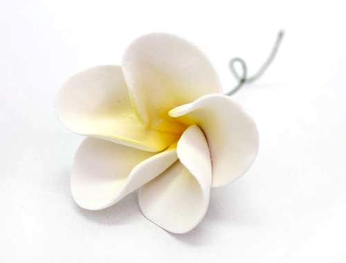 Large Frangipani - Yellow - Click Image to Close